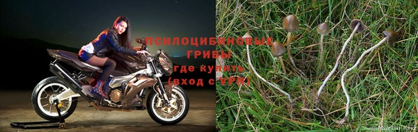 бутик Володарск